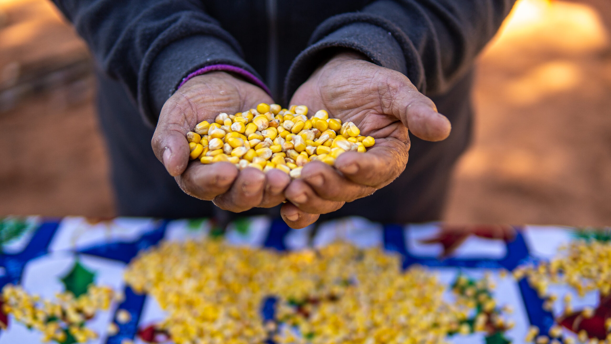 Producción campesina y agronegocios en Paraguay: debates sobre valor, naturaleza y reproducción socio-ecológica